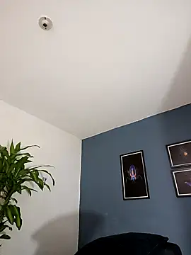 Snapshot of SilvaBranko chatting on 11.09.25 SilvaBranko online show from 11.09.25