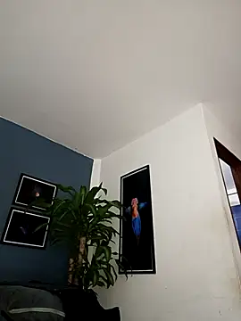 SilvaBranko online show from 12.18.25