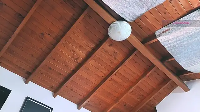 SilvaBranko online show from 03.14.26