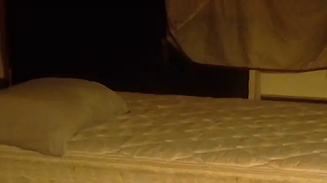 Armyexhibitionistvet online show from 03.19.26