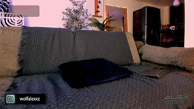 alex wolf  online show from 02.08.25