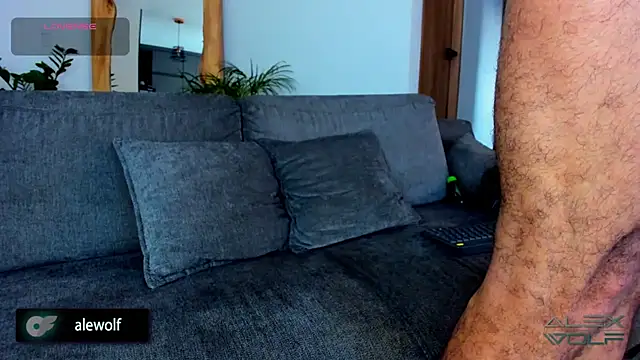 alex wolf  online show from 02.25.26