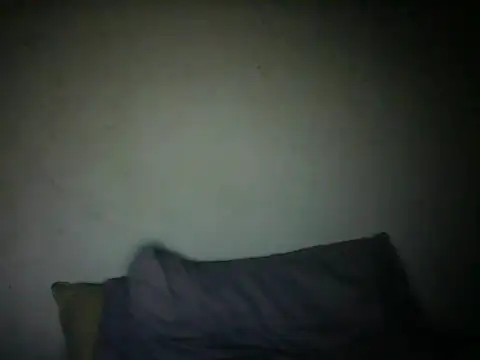 Snapshot of NCRCP7 chatting on 12.20.25 NCRCP7 online show from 12.20.25