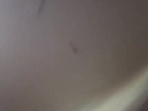 Snapshot of Gin4Cole chatting on 09.25.25 Gin4Cole online show from 09.25.25