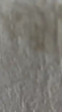 Ishikarana online show from 10.08.25