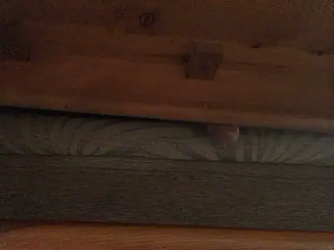 Snapshot of Dicksexhandjob chatting on 02.21.25 Dicksexhandjob online show from 02.21.25