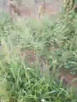 Snapshot of hotpussy-11 chatting on 12.11.24 hotpussy-11 online show from 12.11.24