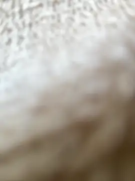 RiriRoseey online show from 04.05.26