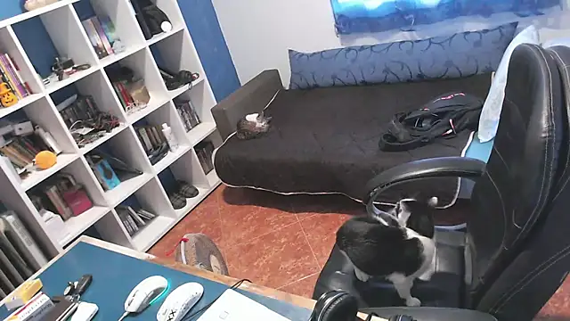 ravingr4d4 online show from 10.24.25