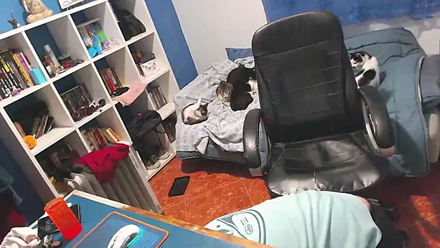 ravingr4d4 online show from 02.02.26