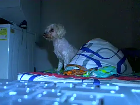 Ian zaenzz online show from 11.27.25