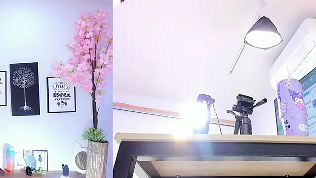 Siouxsie cenobite online show from 10.15.25