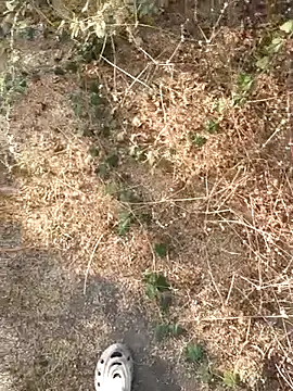 Ajith mvi online show from 03.21.26