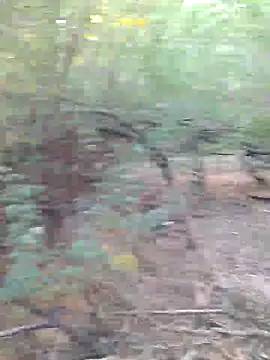 Ajith mvi online show from 03.29.26