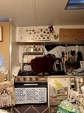 Snapshot of whitetrashdirtyslut chatting on 03.18.26 whitetrashdirtyslut online show from 03.18.26