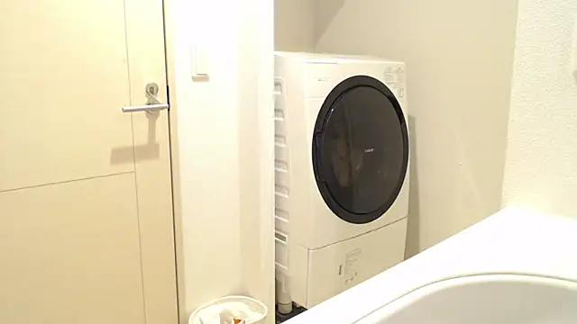 Kakushi dori online show from 12.16.24