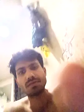 Snapshot of nikshows chatting on 10.02.25 nikshows online show from 10.02.25