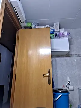 Javier bear online show from 02.12.26