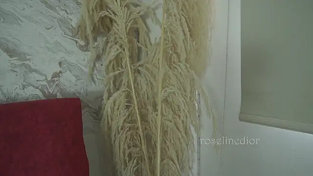 roselinedior online show from 12.01.25