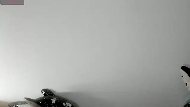 queen fetish online show from 01.08.26