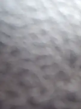 cdressupdiva online show from 02.20.25