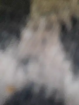 Snapshot of marcialoira chatting on 02.05.25 marcialoira online show from 02.05.25