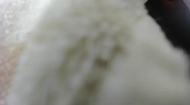 charlie hotxxx online show from 01.18.25