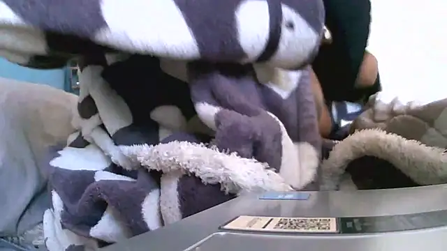 Bustypillows online show from 05.07.26