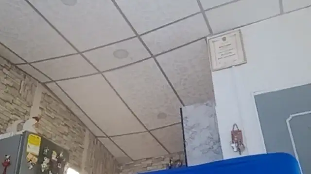 Lilly macflyy online show from 02.21.26