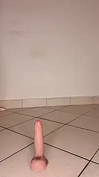 Snapshot of Perqueen chatting on 11.01.25 Perqueen online show from 11.01.25