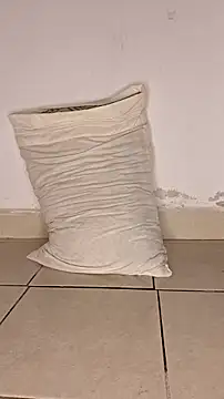 Snapshot of Perqueen chatting on 11.07.25 Perqueen online show from 11.07.25