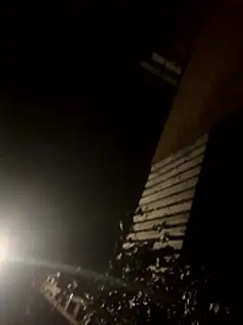 jent59 online show from 01.17.26