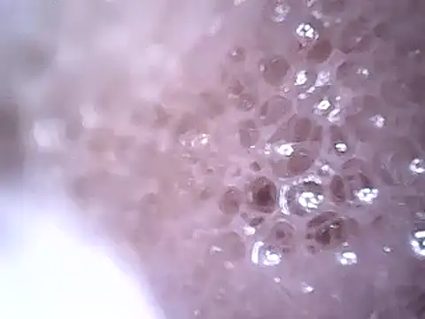 Beijing2000 online show from 12.19.24