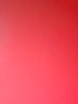 zhenzhen521 online show from 02.01.26