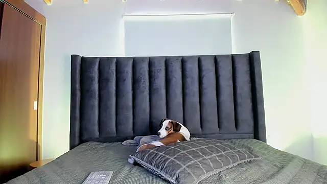 paulina soto online show from 11.16.25