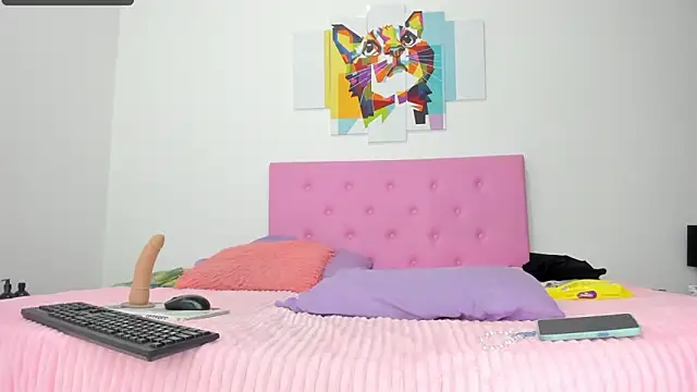 gatica cat online show from 02.28.25