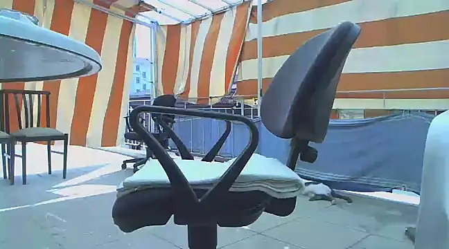 zormen355 online show from 03.16.25