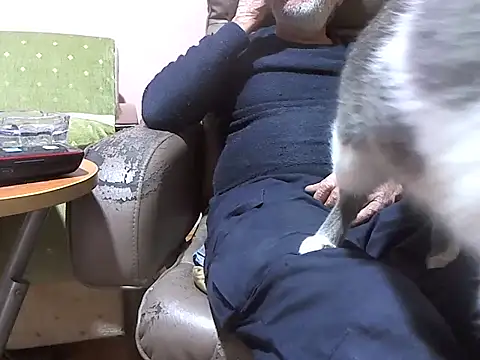 zormen355 online show from 04.07.26