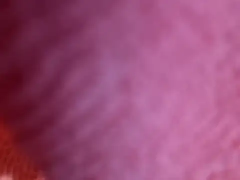 Snapshot of Amarok39 chatting on 10.18.25 Amarok39 online show from 10.18.25