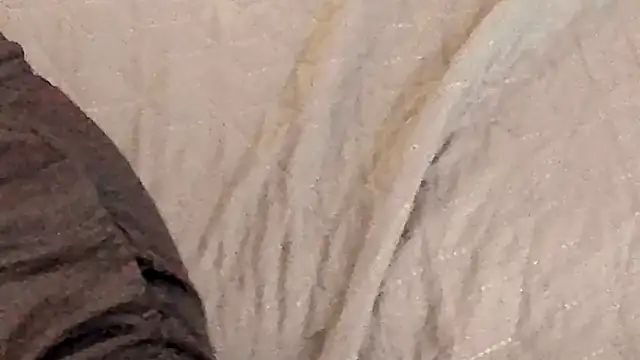 IceDanielles online show from 10.11.25