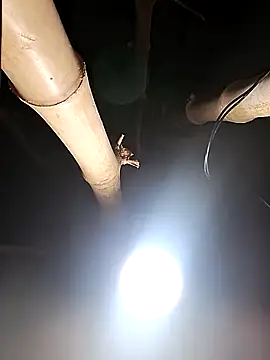 Snapshot of HotSexyBoudi chatting on 02.26.26 HotSexyBoudi online show from 02.26.26