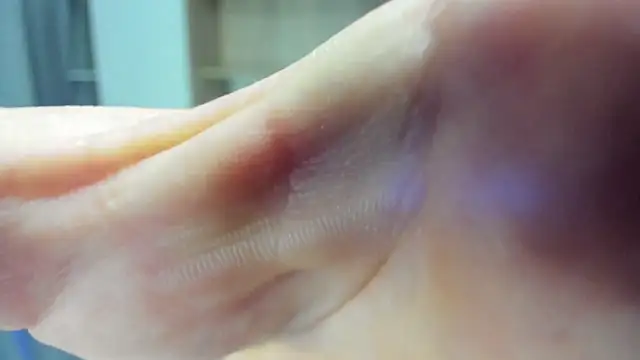 Alex Madrid online show from 02.03.25