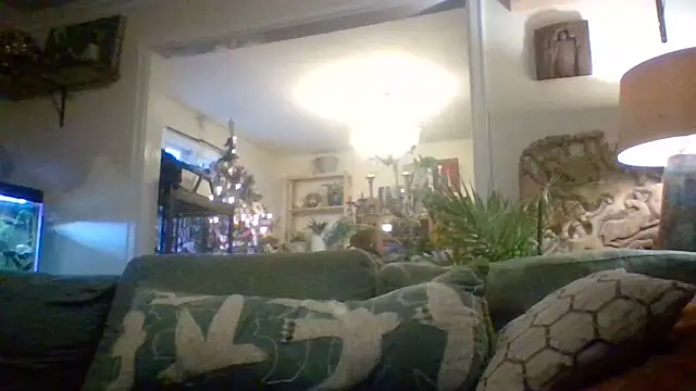 trash4cash online show from 12.25.24