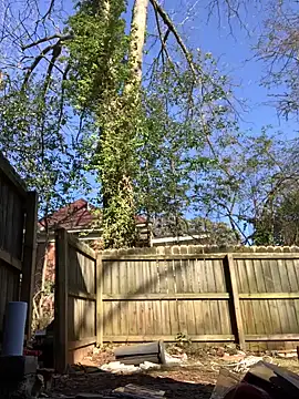 trash4cash online show from 01.28.25