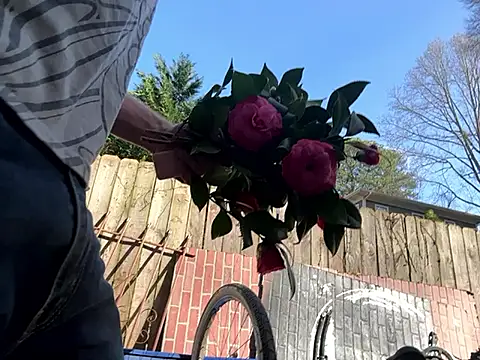 trash4cash online show from 03.07.25