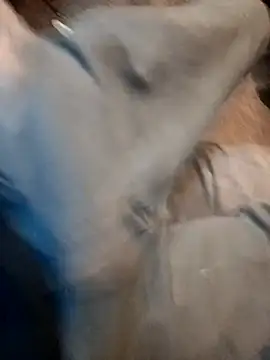 ySqmbVanbe online show from 12.17.25