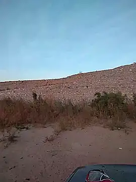 FloppyPickle4u online show from 02.02.25