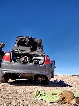 FloppyPickle4u online show from 02.15.25