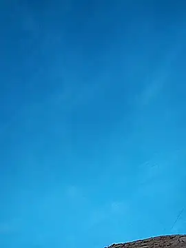 FloppyPickle4u online show from 02.17.25