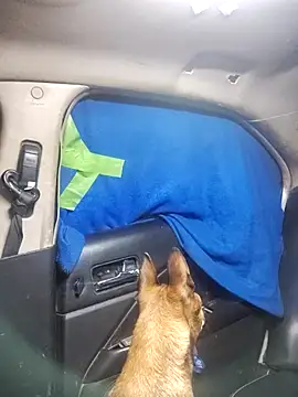 FloppyPickle4u online show from 02.18.25